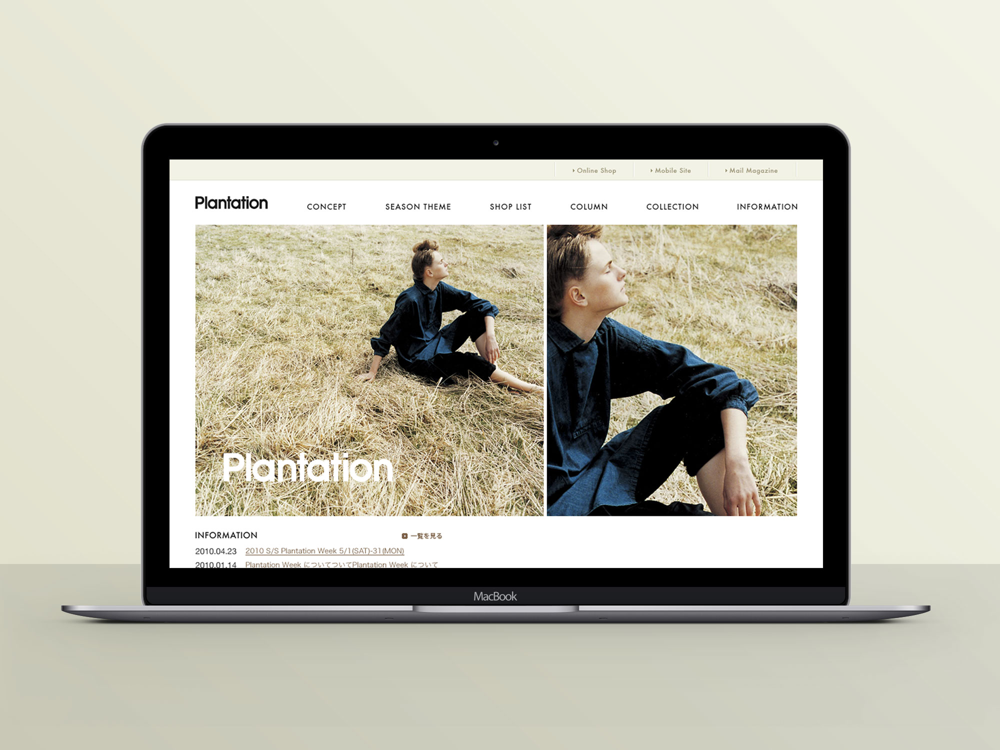 Plantation Web Design